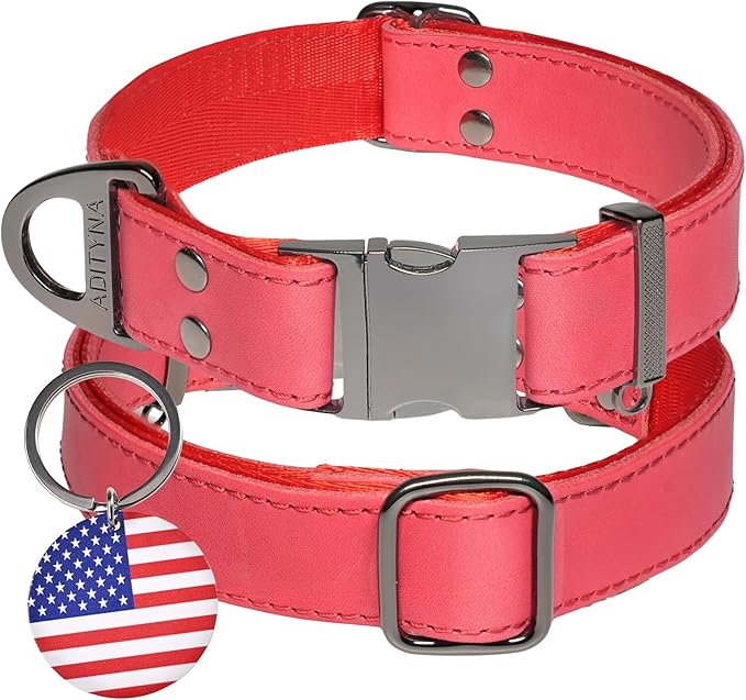 ADITYNA Red Leather Dog Collar with Metal Buckle - Heavy-Duty, Adjustable for Medium & Large Dogs (Red, Fits 15-21" Necks)