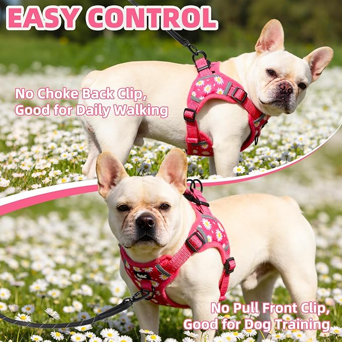 PUPTECK No Pull Dog Harness Small Sized Dog, Adjustable Reflective Escape Proof Easy Control, Comfortable Soft Padded Step in Pet Vest Harness, Fuschia, S