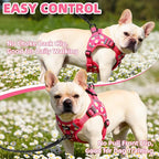 PUPTECK No Pull Dog Harness Small Sized Dog, Adjustable Reflective Escape Proof Easy Control, Comfortable Soft Padded Step in Pet Vest Harness, Fuschia, M