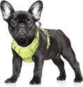 BARKBAY No Pull Dog Harness Large Reflective Dog Harness with Front Clip and Easy Control Handle for Walking Training Running with ID tag Pocket(Sunlight,S)