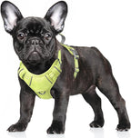 BARKBAY No Pull Dog Harness Large Reflective Dog Harness with Front Clip and Easy Control Handle for Walking Training Running with ID tag Pocket(Sunlight,S)