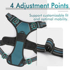 rabbitgoo Dog Harness No Pull with 2 Leash Clips, Adjustable Soft Padded, Reflective Oxford No Choke Pet Vest with Easy Control Handle for Small Dogs, Blue Coral, S