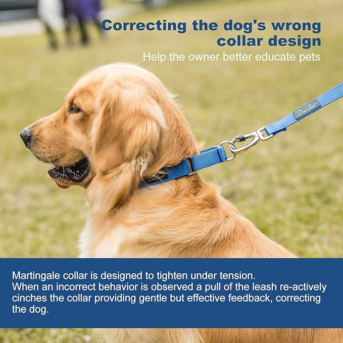 Martingale Dog Collar, Escape-Proof and No Slip Design, Heavy-Duty Nylon with Metal Buckle, Adjustable for Small, Medium & Large Dogs, Colorfast for Training, Daily Walks (Royal Blue, M)