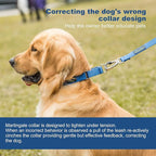 Martingale Dog Collar, Escape-Proof and No Slip Design, Heavy-Duty Nylon with Metal Buckle, Adjustable for Small, Medium & Large Dogs, Colorfast for Training, Daily Walks (Royal Blue, M)