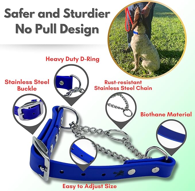Martingale Collar for Dogs, Biothane, Stainless Steel Hardware, No Pull, Made in The USA, Professional Grade, Medium, Blue