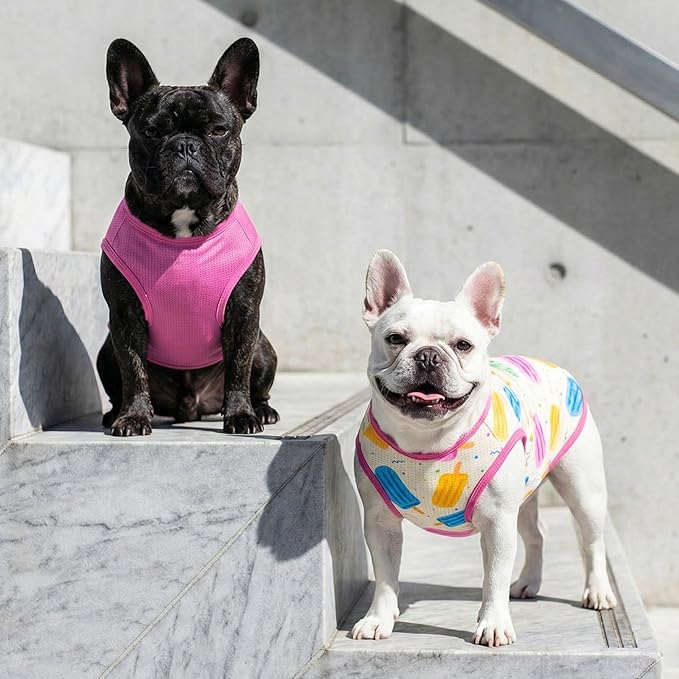 KYEESE 2Pack Dog Shirt, Lightweight Sun Protection Dog T Shirts for Small Dogs Girl, Breathable Mesh Tank Top Sleeveless Pet Reflective Vest, Soft Summer Dogs Clothes, Ice Pop+Pink, L