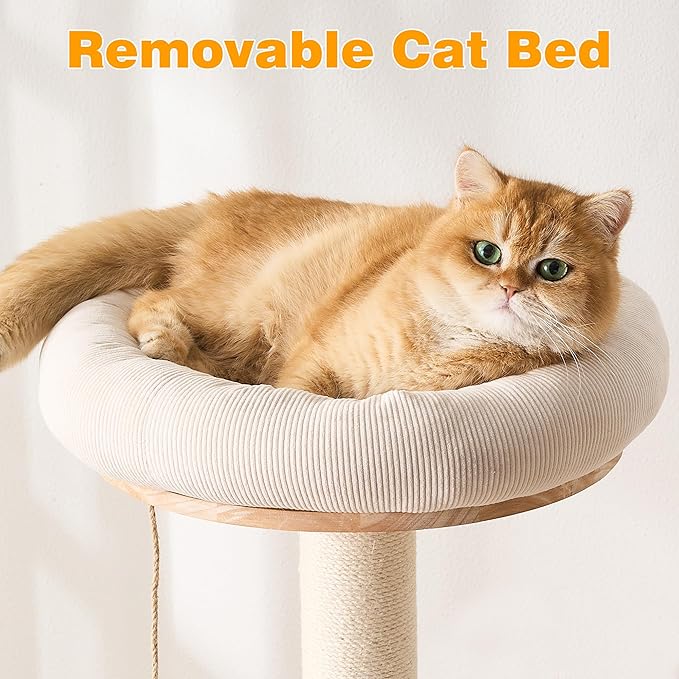 HITTITE Solid Wood Cat Tree Tower with Scratching Post, 61 Inches Tall Cat Towers with Capsule and Condo, Modern Cat Tower with Hammock and Removable Top Bed for Indoor Cats.White