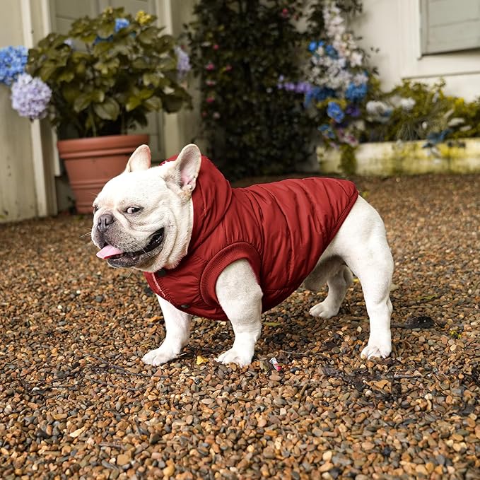 Fleece Lining Extra Warm Dog Hoodie in Winter for Large Dogs Jacket Pet Coats with Hooded,Red XXL