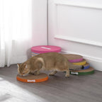 CSR1012A Kate 12" Modern Patterned Cardboard Reversible Cat Scratcher Pad in Box with Catnip, Multi-Colored (5-Pack)