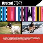 Wolfgang Heavy Duty Martingale Dog Collar with Quick Release Nylon Buckle for Walking & Training, Quetzal Print, Large