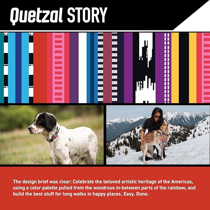 Wolfgang Heavy Duty Martingale Dog Collar with Quick Release Nylon Buckle for Walking & Training, Quetzal Print, Medium