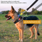 Prong Training Collar With Nylon Cover Comfort Tips and Quick Release Snap Buckle, Classic Collar and Leash for Small Medium Large Dogs