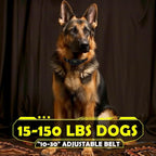 PATPET Dog Training Collar, 1.2 Mile Range 101 Training Levels Dog Shock Collar with Remote Control (15-150 lbs), Waterproof 100% Safe E Collar for Large Breed for Dogs Black with Bright Green