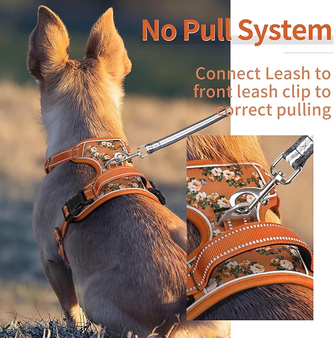 HEELE Dog Harness, No Pull Adjustable Padded Reflective Harness for Small Medium Large Dogs with Handle for Walking Training, Flower-Orange,L