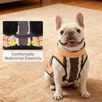 SCENEREAL Winter Dog Vest Coat with Harness Built in, Warm Puppy Jacket for Small Medium Dogs, Cold Weather Coat with Zipper, Fleece Puffer Vest Windproof Snow Clothes, Beige Plaid L