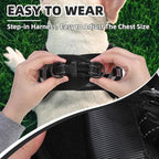 PUPTECK No Pull Dog Harness Small Sized Dog, Adjustable Reflective Escape Proof Easy Control, Comfortable Soft Padded Step in Pet Vest Harness, Black&White Checkered, M