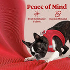 rabbitgoo Small Dog Harness, Step-in Soft Mesh Puppy Vest with Safety Buckle, Breathable Reflective Pet Harness for Small Sized Dogs, Red S