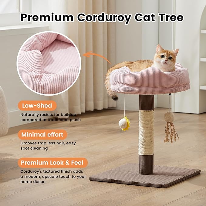 Gardner Pet 20" Cat Tree Corduroy, Solid Wood Small Cat Tree, Compact Cat Tower Perch for Kittens & Indoor Cats(Brown, Circle-Corduroy)