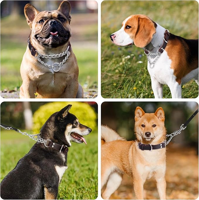 Leather Martingale Dog Collar, Genuine & Stainless Steel Chain Martingale Collar No-Pull Adjustable Anti-Slip Training & Walking Collar for Small Medium Large Breed Dogs Pets. (Large: Neck 15"-23")