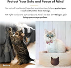 Necoichi Cat-Headed Scratcher Bed (Birch, Large) | Cardboard Cat Scratcher Bowls for Indoor Cats - Cat Scratching Board, Cat Scratch Pad Lounger with Reversible Usability and Extra Comfort for Lounge