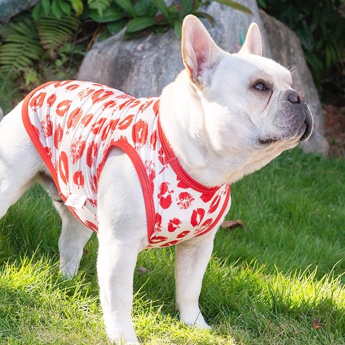 CuteBone Dog Valentine Shirts Outfit 2-Pack Soft Pet Clothes Breathable Summer Vest for Small Puppy and Stretchy Cat Apparel 2BX05L