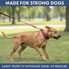 Spark Paws Martingale Dog Collar – Cushioned Slip-On Training Collar, Heavy Duty, Safety-Tested No-Buckle Collar for Medium & Large Dogs - Fuchsia Camo - B