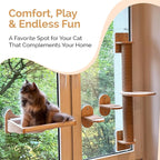 4-in-1 Window & Wall Mount Cat Wall Shelves – Hammock, Scratching Post & Perch | Fits up to 40 lbs | Space-Saving Pet Furniture for Windows, Glass & Drywall | Modern Wood Cat Shelf Set