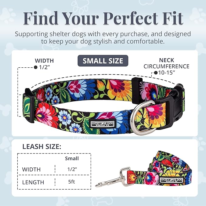 Lucky Love Dog - Easy Click Buckle Dog Collar with Leash Set Combo, Durable & Comfortable for Male & Female Dogs, Pet Collar for Small to Large Dogs, Secure Fit - Blackbird Combo, Small