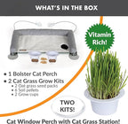 K&H Pet Products EZ Mount Cat Window Perch Deluxe Bolstered Kitty Sill with Cat Grass Grow Station - Hammock Window Bed for Indoor Pets, Home Grown Grass Toy for Bored Indoor Felines