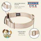 Country Brook Petz - Martingale Dog Collar - Heavy-Duty Training Collar with No Buckle - Service Dog Collar for All Pups - 10+ Warm Colors (Almond, 3/4 Inch, Small)