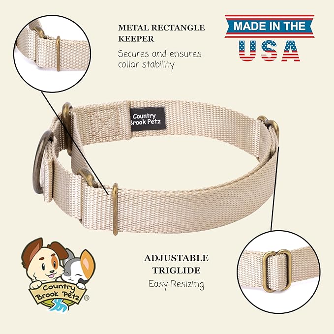 Country Brook Petz - Martingale Dog Collar - Heavy-Duty Training Collar with No Buckle - Service Dog Collar for All Pups - 10+ Warm Colors (Almond, 3/4 Inch, Small)