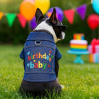 Dog Jean Jacket with D-Ring Blue Denim Coat Dogs Outfits for Small Dogs Cats Boy Male Girl Birthday Clothes Costume Letter Embroidery Dogggie Puppy Winter Warm Clothes(Birthday Baby,S)