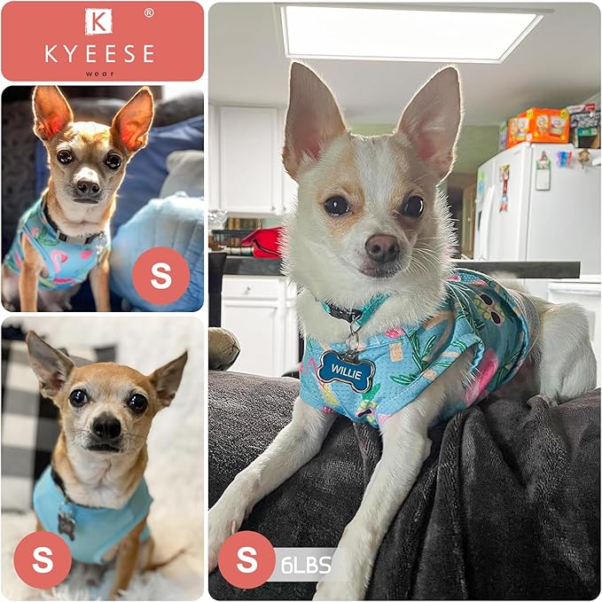 KYEESE 2Pack Dog Shirt, Lightweight Sun Protection Dog T Shirts for Small Dogs Girl, Breathable Mesh Tank Top Sleeveless Puppy Reflective Vest, Soft Summer Dogs Clothes, Strawberry+Rose Red, S
