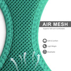 Fida Cat Harness and Leash Set for Walking Kitten and Puppy, Escape Proof Kitten Harness with Breathable Lightweight Soft Mesh, Adjustable Reflective Step-in Design. (S, Green)