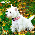 Hikiko Martingale Collar for Dogs Cute Floral Dog Collar for Small Medium Large Dogs Spring Summer Daisy Dog Collars for Girl Female Pet (Hot Pink Flower,Medium)