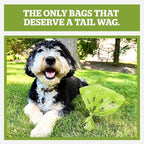Pogi’s Dog Poop Bags – Leak-Proof & Extra Thick Pet Waste Bags with 2 Holders (Fresh Scent, 50 Rolls, 750-Count)