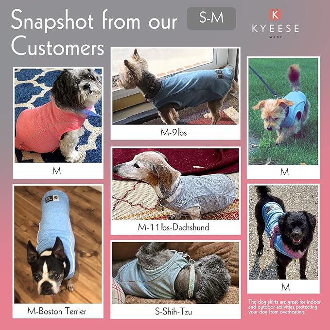 KYEESE 2Pack Reflective Dog Shirt, Lightweight Sun Protection Dog T Shirts for Small Dogs Boy, Breathable Sleeveless Puppy Tank Top Summer Dogs Clothes for Night Walking Outdoor, Lake Blue+Blue, S