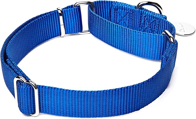 Martingale Dog Collar, Escape-Proof and No Slip Design, Heavy-Duty Nylon with Metal Buckle, Adjustable for Small, Medium & Large Dogs, Colorfast for Training, Daily Walks (Royal Blue, M)