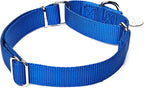 Martingale Dog Collar, Escape-Proof and No Slip Design, Heavy-Duty Nylon with Metal Buckle, Adjustable for Small, Medium & Large Dogs, Colorfast for Training, Daily Walks (Royal Blue, M)