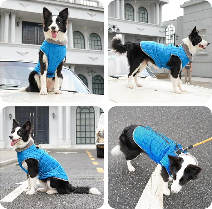 Warm Fleece Dog Coats with Durable Harness Buitl in D-Ring,Waterproof Puppy Jacket for Small Dogs,Dog Vest for Cold Winter,Light Blue M