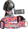 Lucky Love Dog Wide Dog Collar - Adjustable, Durable, Soft Webbing, & Comfortable 1.5 inch Wide Collar with Strong Buckle for Dogs Male and Female with Strong Buckle - Rosie, X-Large