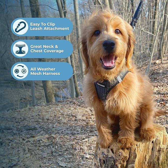 Best Pet Supplies Voyager Step-in Air All Weather Mesh Harness and Reflective Dog 5 ft Leash Combo with Neoprene Handle, for Small, Medium and Large Breed Puppies - Gray (2-Tone), L