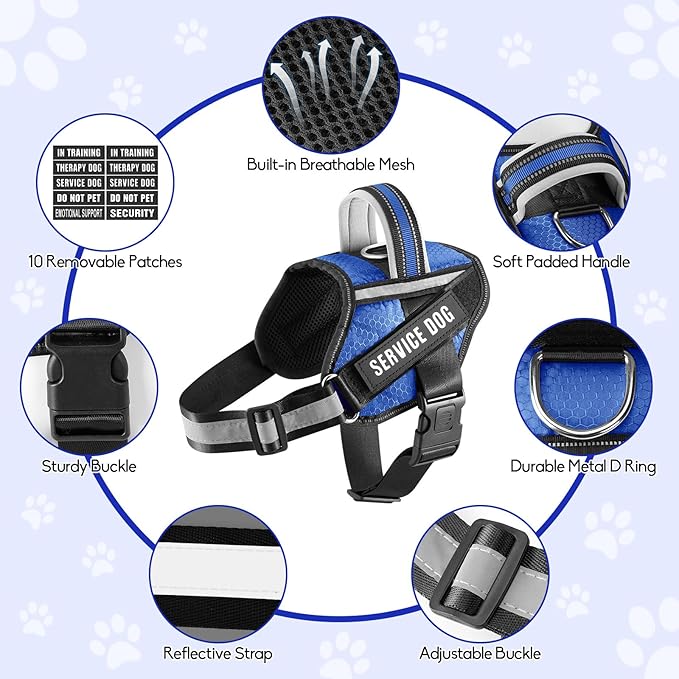 Service Dog Vest Harness and Leash Set, Animire in Training Dog Harness with 10 Dog Patches, Reflective Dog Leash with Soft Padded Handle for Small, Medium, Large, and Extra-Large Dogs (Blue,L)