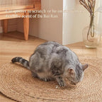 9.8In Cat Scratcher Pad - Hand-Woven Natural Cattail Mat, Spiral Texture Cat Scratching Pad for Kittens/Small Cats, Cat Scratch Furniture Protector