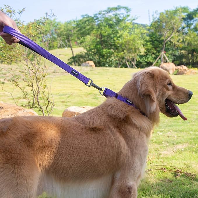 Hyhug Martingale Collar for Dogs Large Purple |Escape - Proof Heavy Duty Nylon Durable No Pull, Ideal for Training & Daily Walks