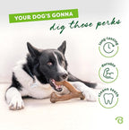 Medium 3-Pack, Benebone Wishbone Durable Dog Chew Toy for Aggressive Chewers, Real Bacon, Chicken, Peanut Butter, Made in USA, Variety Pack