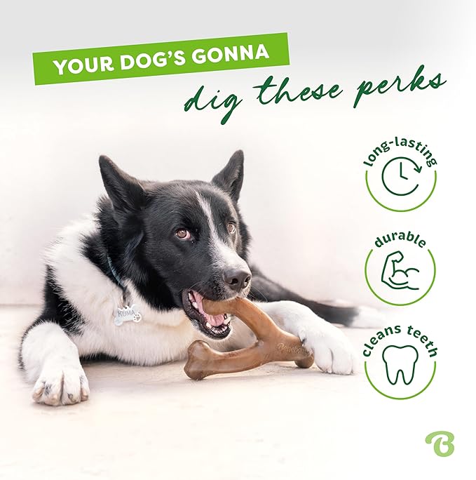 Benebone 7-Pack Medium