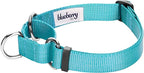 Blueberry Pet Essentials Martingale Safety Training Dog Collar, Turquoise, Small, Heavy Duty Nylon Adjustable Collars for Dogs