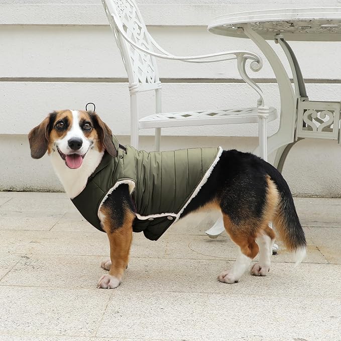 Fleece Lining Dog Hoodie with Harness Built in,Extra Warm Medium Dog Jacket in Winter Doggie Coats with Drawstring Hooded,Green L
