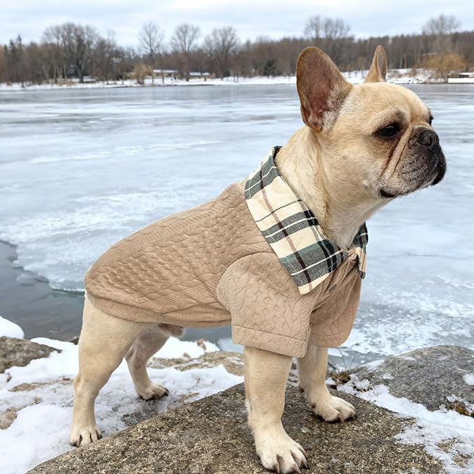 SCENEREAL Dog Sweaters for Small Medium Dogs, Pet Hoodie Sweatshirts Winter Knitted Pullovers with Fashion Shirt Collar, Puppy Clothes Cold Weather Coats, Beige L